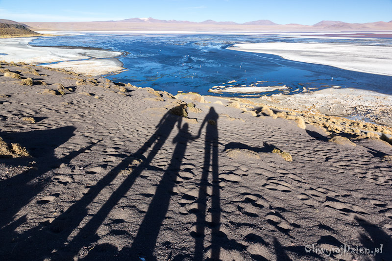 Altiplano – dzień II – Laguny